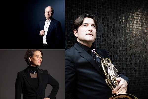 LE PIACE BRAHMS? Duo Triendl-Berg con Hervé Joulain