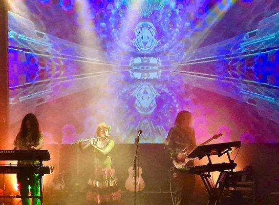 OZRIC TENTACLES  ELECTRONIC