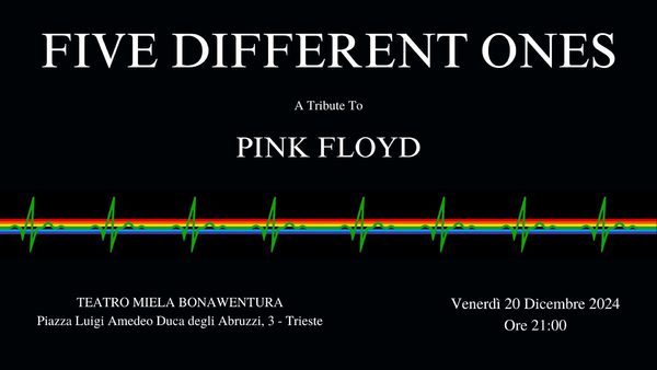 FIVE DIFFERENT ONES - A TRIBUTE TO PINK FLOYD